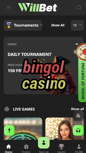 Bingol Casino - Best Bingo-Themed Casino-www.bdqngd.com