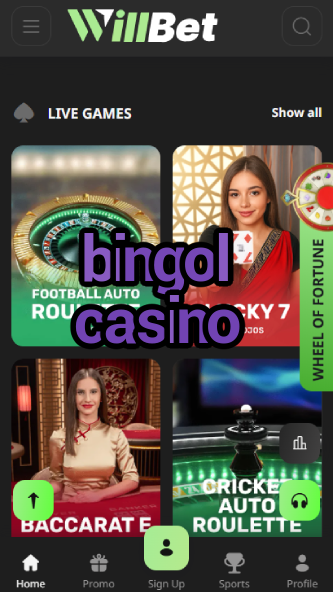 Bingol Casino - Best Bingo-Themed Casino-www.bdqngd.com